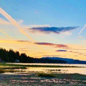 Meet your Posher, Tessa